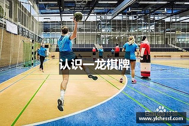 认识一龙棋牌
